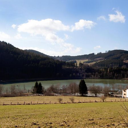 Fewo Hoher Eimberg Niedersfeld Apartamento Winterberg Exterior foto